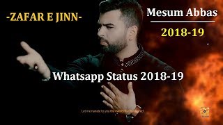ZAFAR E JINN | Mesum Abbas | Whatsapp Status | Zafar Jin History | Imam Hussain