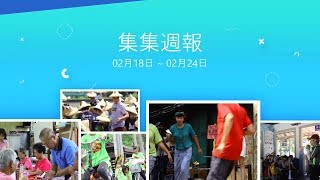 集集週報2019/02/18~02/24