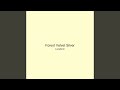 Forest Velvet Silver