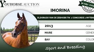 Imorina mare in the online Youhorse.auction July 30th 2022 until August 2nd 2022