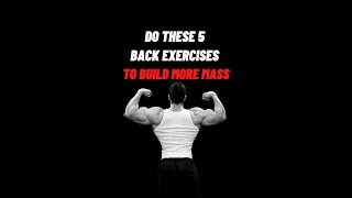 Do These 5 Back Exercises To Build More Mass!