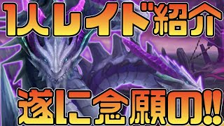 【サマナーズウォー】1人レイド解説‼これで気軽にレイドが回れるようになりました【summonerswar】 #ゲーム実況 #ゲーム