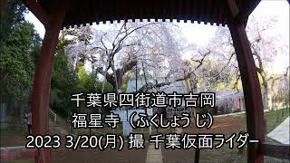 千葉県四街道市吉岡　福星寺（ふくしょう じ）2023 3/20(月) 撮 千葉仮面ライダー