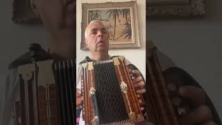 Ornement double de la Gigue de Terrebonne. Reel. #lygeros #music #accordion