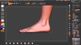 ZBrush tutorial: Anatomy sculpt - flattening the feet