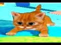 Kitty Luv : Cat Stuck On A Bowl Simulator