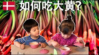 做大黄甜点布丁(Rhubarb pudding)+草莓大黄酱(Strawberry & Rhubarb Jam) -龙凤宝贝之家在丹麦