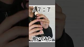 ソプラノリコーダーで「人マニア」吹いてみた　#shorts