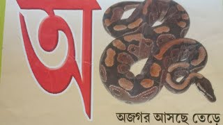 বাংলা বর্ণমালার সঠিক উচ্চারণ শিখি #স্বরবর্ণ# bangla barnomala swarbarno,@kidspandantv