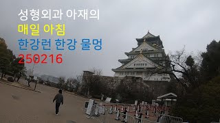 성형외과 아재의 매일 아침 한강 런 한강 물멍 250216