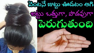 🔥విపరీతంగా జుట్టు పెరగాలంటే ఇది ట్రై చేయండి👍|సన్నగా పిలకల ఉన్న జుట్టు ఒత్తుగా పొడవుగా పెరుగుతుంది 🥰