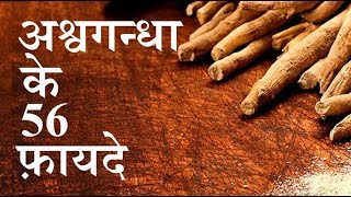 अश्‍वगंधा के 56 फ़ायदे || 56 SUPER benefits of Ashwagandha by puneet biseria