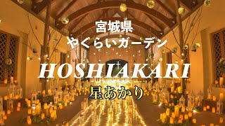 宮城県 やくらいガーデン のHOSHIAKARI (星あかり)ライトアップ・イルミネーションに行って来ました！