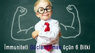 Yazda İmmuniteti Gücləndirmək üçün 6 Bitki