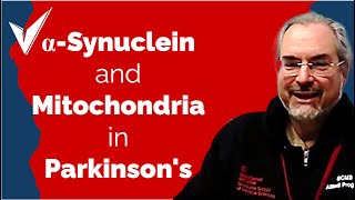 Alpha-Synuclein's Role in Parkinson's and Mitochondrial Dynamics - Dr. David Eliezer