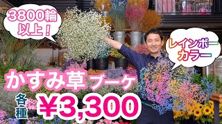 今だけ！初物、厳選『かすみ草』この違いを体感してください。　限定数のみ販売。