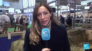 Informe desde París: granjeros franceses protestan en medio del Salón de la Agricultura