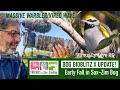 Early Fall Birding Sax-Zim Bog Virtually Live 29: S3E4 September 13 2022