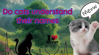 Why do cats respond to their names? The secret behind this behavior ( The answer will surprise you )