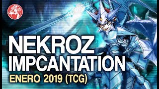 Nekroz Impcantation Deck + Analysis 📈 | Post January 2019 Banlist [ENG SUBS]