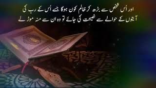 Agar Allah chahta tu hmare kartooton par hamai pakar chuka hota...WARNING |beautiful Quran reaction|