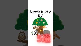 おもしろい動物の雑学5選