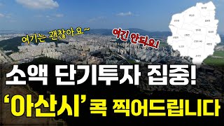 실수요자가 굉장히 많아서 쉽게 매도가 가능한 아산에 부동산 투자할 곳을 알려드립니다 [소액투자자 분들은 집중!}