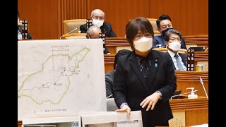 [一般質問] 石原朝子 令和四年第７回沖縄県議会１１月定例会