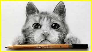 😻Como dibujar un GATO REALISTA ( Como Dibujar animales )  MUY FACIL