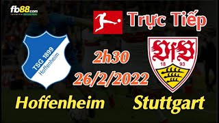 Soi kèo trực tiếp Hoffenheim vs Stuttgart - 2h30 Ngày 26/2/2022 - vòng 24 Bundesliga