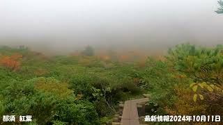 最新状況2024.10.11　紅葉　#那須　#姥ケ平 #那須ロープウエイ