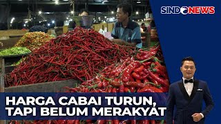 Pasokan Petani Normal, Harga Cabai Mulai Turun | Sindo Siang | 20/01