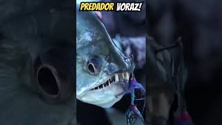 PEIXE VAMPIRO PREDADOR VORAZ DE DENTES AFIADOS #pescaria #terrapescaesportiva #viral