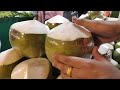 코코넛의 모든 것! 한시도 눈을 뗄 수 없는 손놀림! 달인의 코코넛 자르기, 코코넛 워터!!  Coconut water, Coconut meat  Thailand food