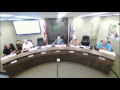 2017 07 19 council meeting