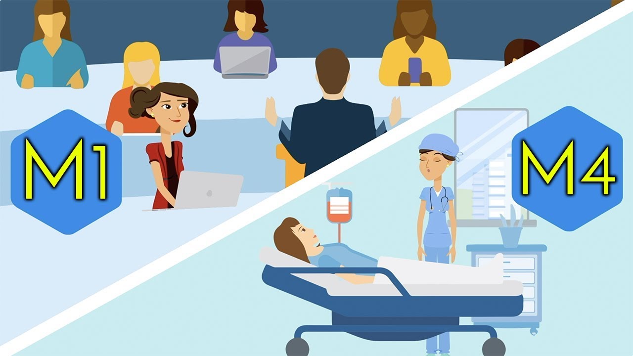 Medical School 4 Years Explained Youtube