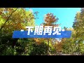 大棠紅葉2024 初探 4k