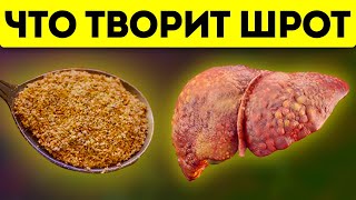 Как 1 ч.л. шрота изменяет состояние организма! Какое влияние шрот оказывает на печень