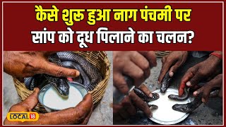 Nag Panchami 2024: नाग पंचमी पर क्यों पिलाया जाता है सांप को दूध, किसने शुरू की ये प्रथा? #local18