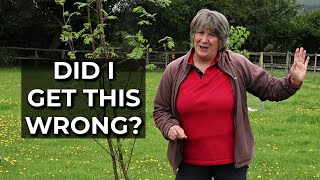 Vegetable Garden Mistake | Why Observation Is Important