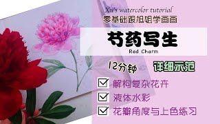 零基础学画 | 芍药 | 水彩画写生 | 跟旭姐学画画 2021 | 水彩画 | easy watercolor tutorial for beginner | demo | peony