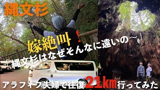 ハイエースで屋久島キャンプ旅2日目。アラフィフ夫婦で世界自然遺産区域にある縄文杉へトレッキング。往復21キロ行けるのかやってみた。数多の屋久杉、ウィルソン株、綺麗な沢、全てが別次元の自然。