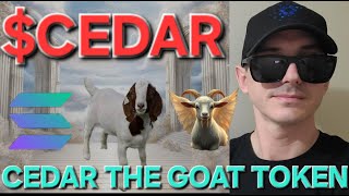 $CEDAR - CEDAR THE GOAT TOKEN CRYPTO COIN HOW TO BUY MEMECOIN SOL SOLANA RAYDIUM JUPITER BLOCKCHAIN