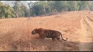 Satpura Tiger Reserve Churna