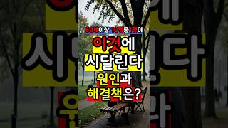 60대이상 10명중 1명이 겪고 있습니다