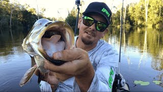 BARRAMUNDI AND BASS FISHING | From The Kayak.