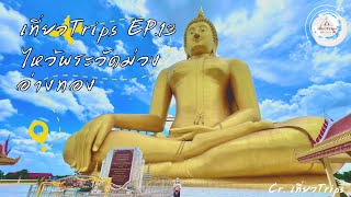 เที่ยวTrips EP.13 พาไปมูฯ วัดม่วง @อ่างทอง