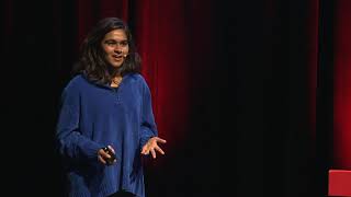 Visualization and the Interconnected Imagination in the Age of the Internet | Anika Ullah | TEDxUCSD
