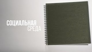 социальная среда