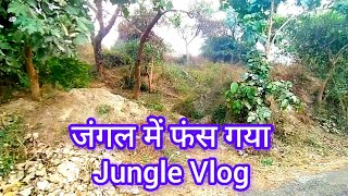 पहाड़ियों के जंगल में गुम 😳 | Jungle vlog | Majedar Vlog